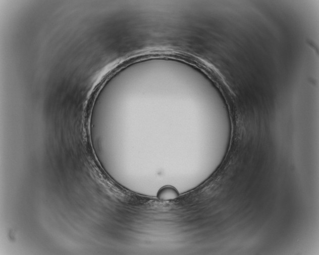 X0000103131168200808221035