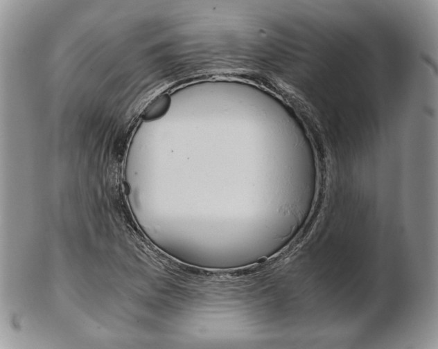 X0000103131169200808221034