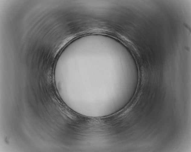X0000103131170200808221034