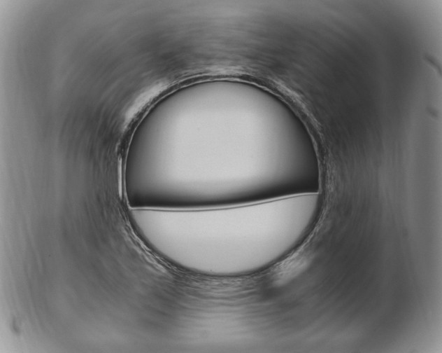 X0000103131171200808221034