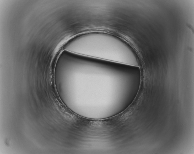 X0000103131172200808221034