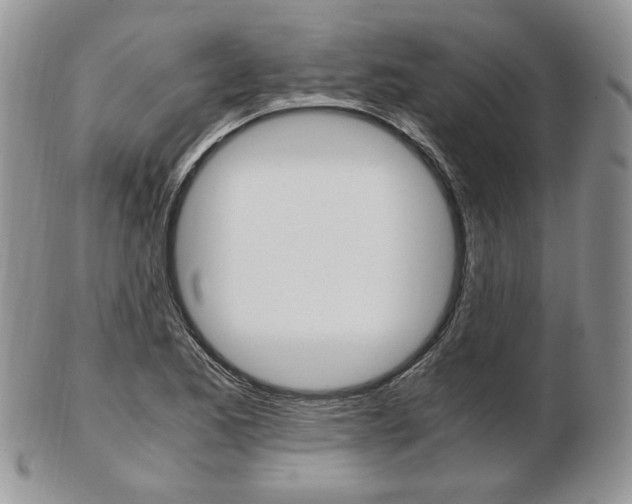X0000103131173200808221034