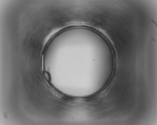 X0000103131175200808221034