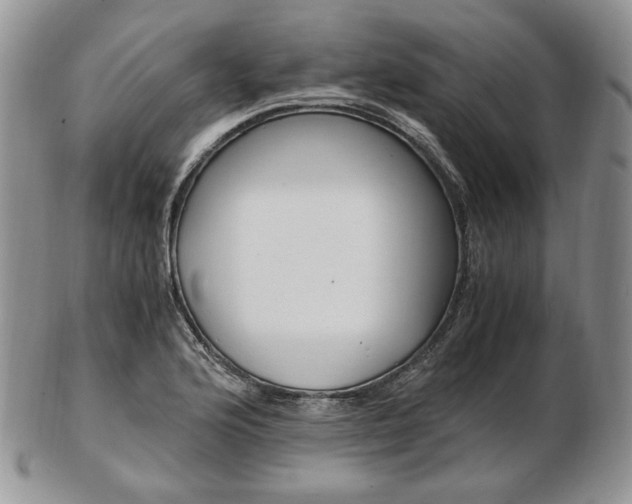 X0000103131176200808221034