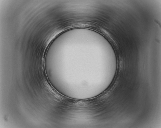 X0000103131178200808221034