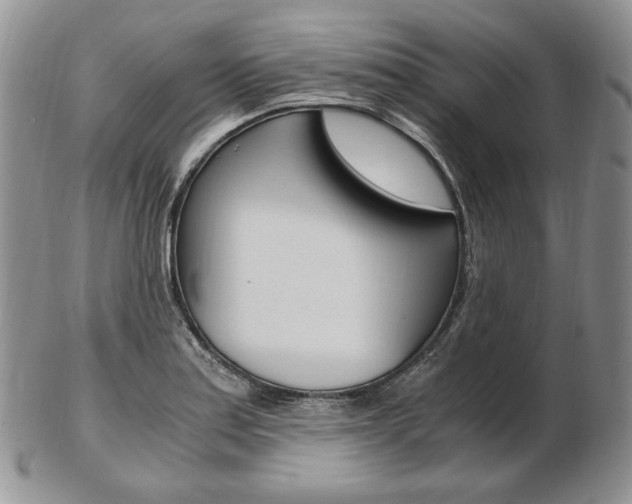 X0000103131179200808221034