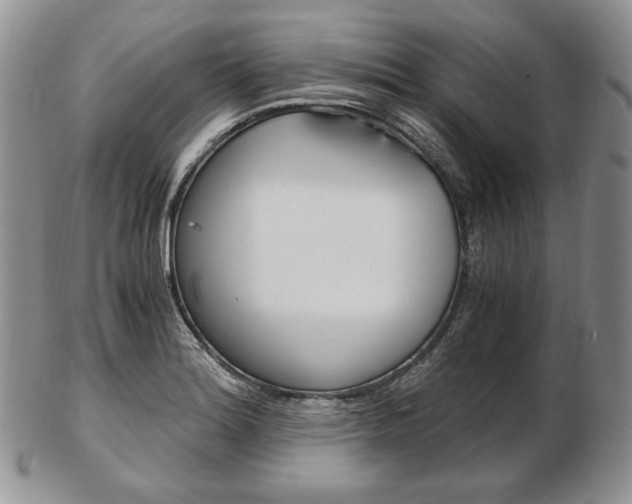 X0000103131180200808221034