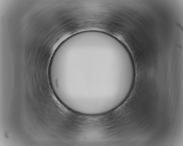X0000103131181200808221034
