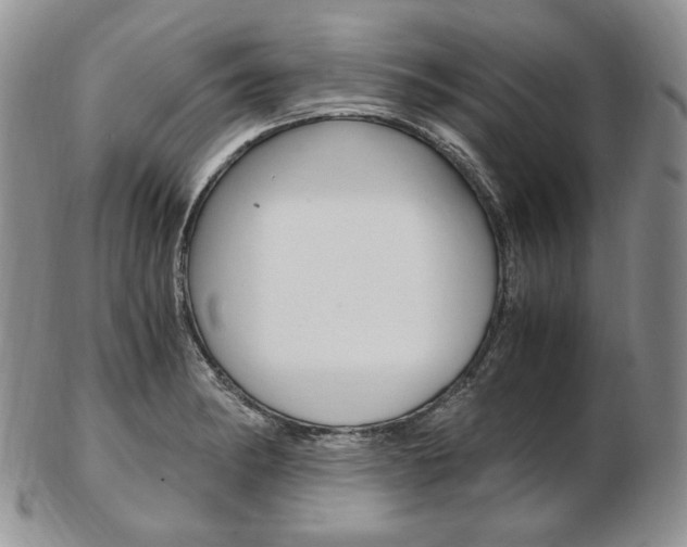X0000103131182200808221034