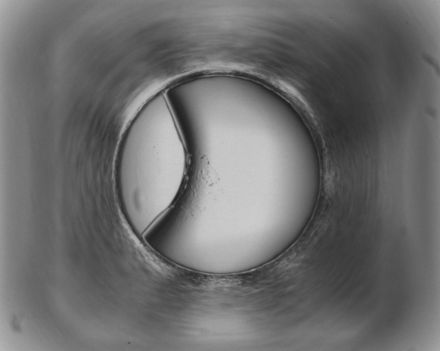 X0000103131183200808221034