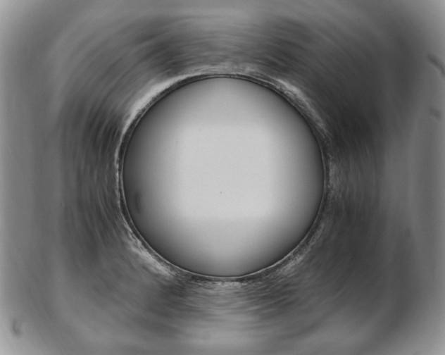 X0000103131184200808221034