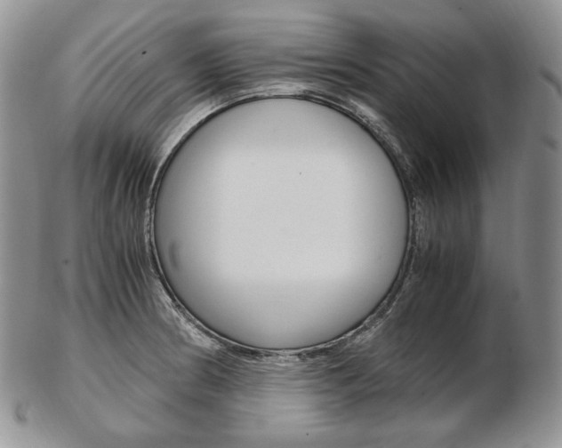 X0000103131186200808221034
