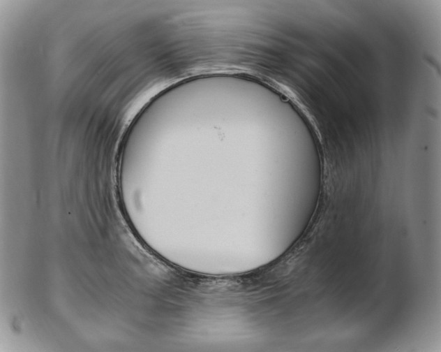 X0000103131187200808221034