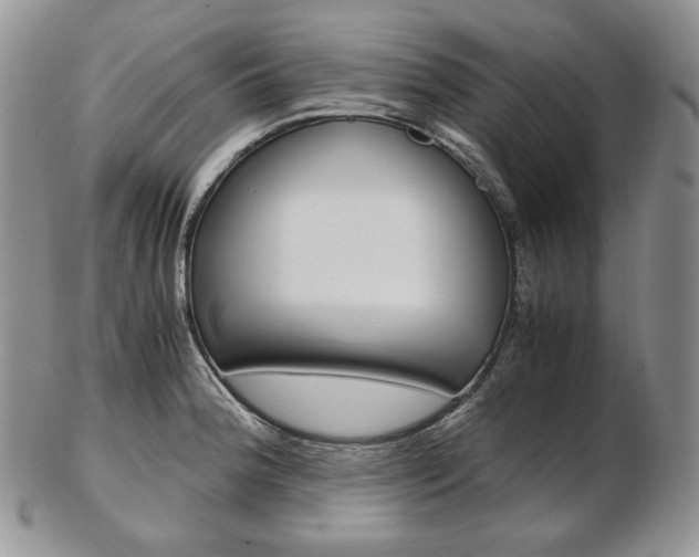 X0000103131188200808221034