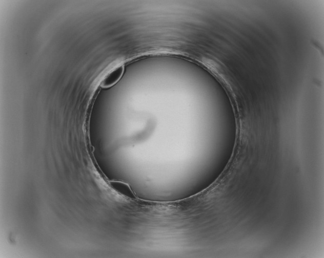 X0000103131189200808221034