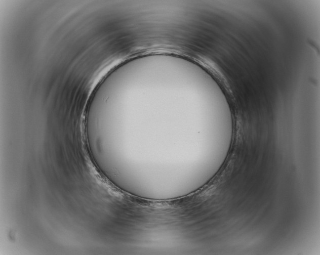 X0000103131190200808221034