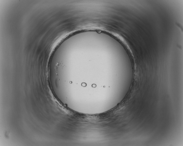 X0000103131191200808221034