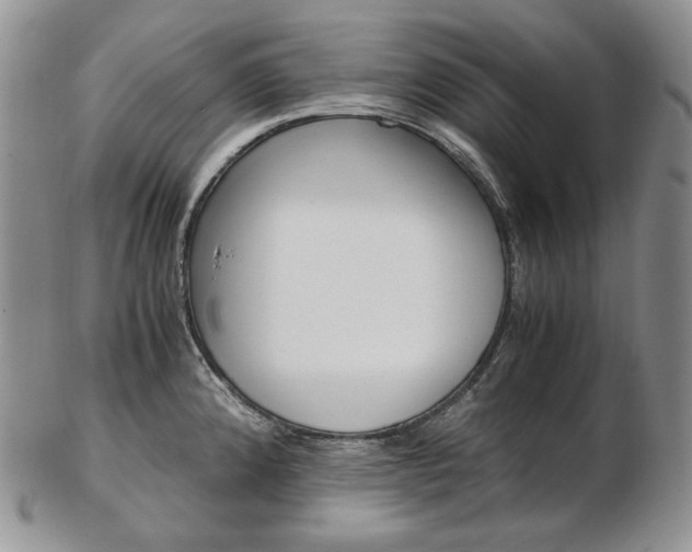 X0000103131192200808221034