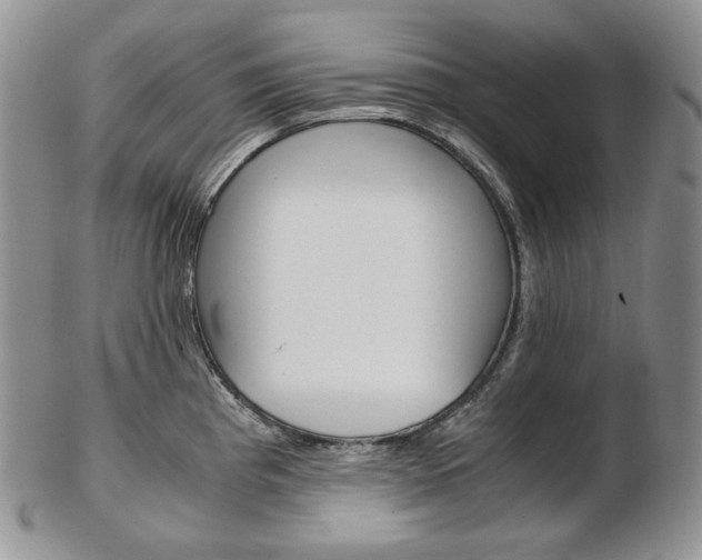 X0000103131193200808221034