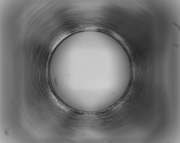 X0000103131194200808221034