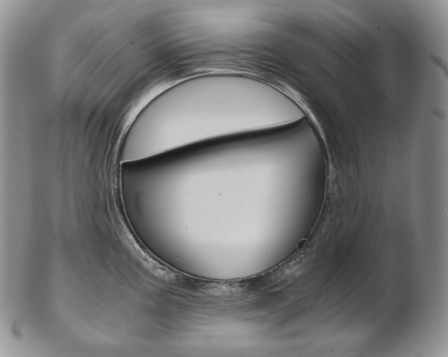 X0000103131195200808221034