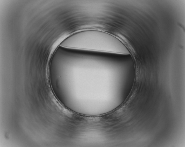 X0000103131196200808221034
