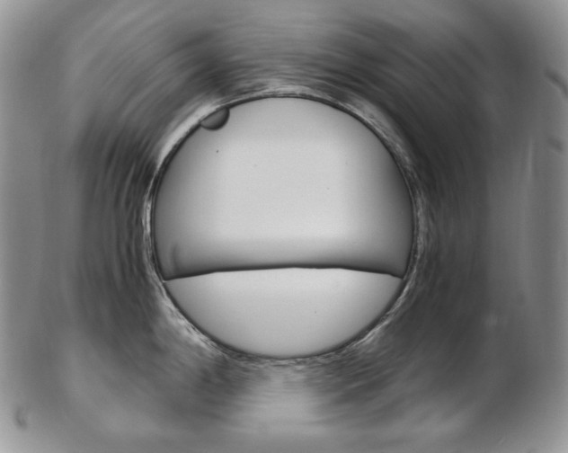 X0000103131198200808221034