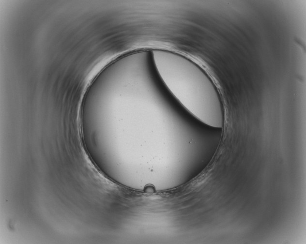 X0000103131199200808221034