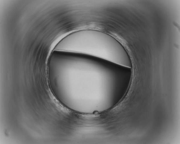 X0000103131200200808221034