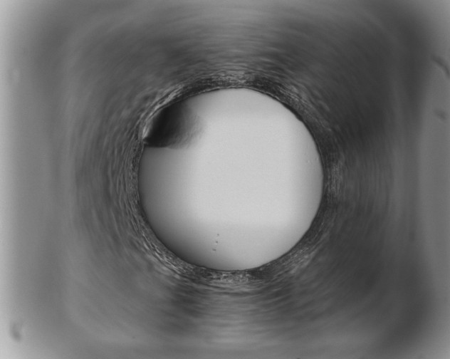 X0000103131201200808221033