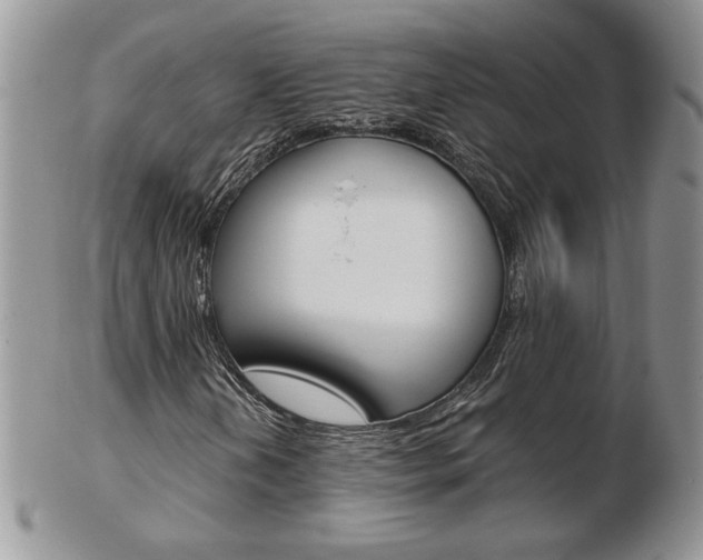 X0000103131202200808221033