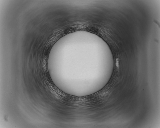 X0000103131203200808221033