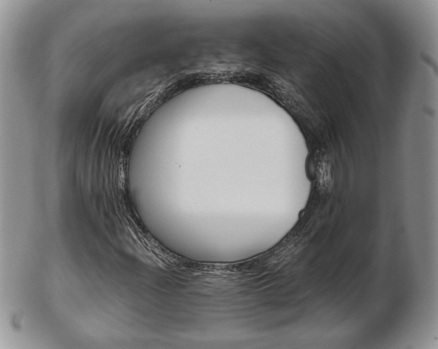 X0000103131204200808221033