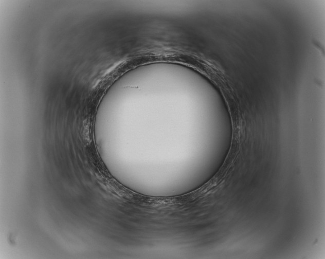 X0000103131205200808221033