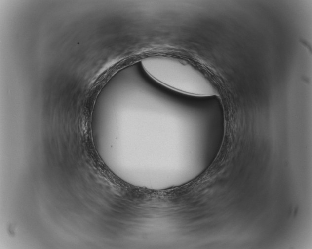 X0000103131206200808221033