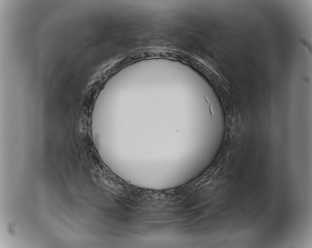 X0000103131207200808221033
