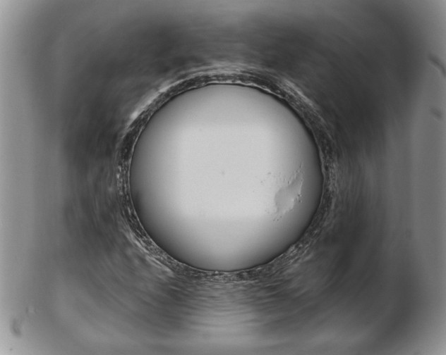 X0000103131208200808221034