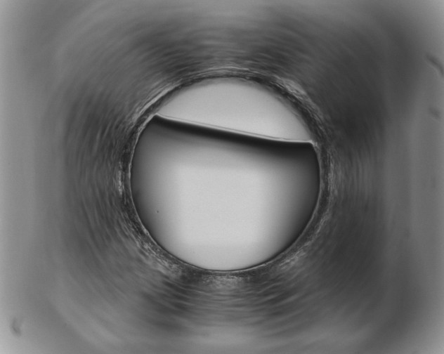 X0000103131209200808221034