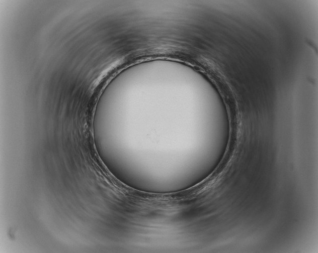 X0000103131210200808221034