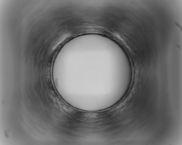 X0000103131211200808221034