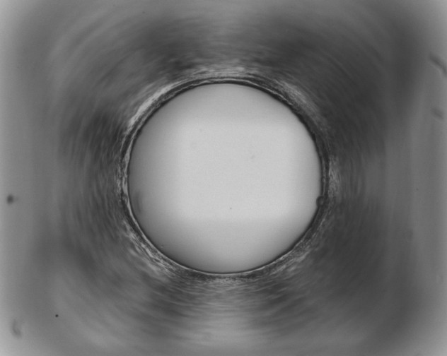 X0000103131212200808221034