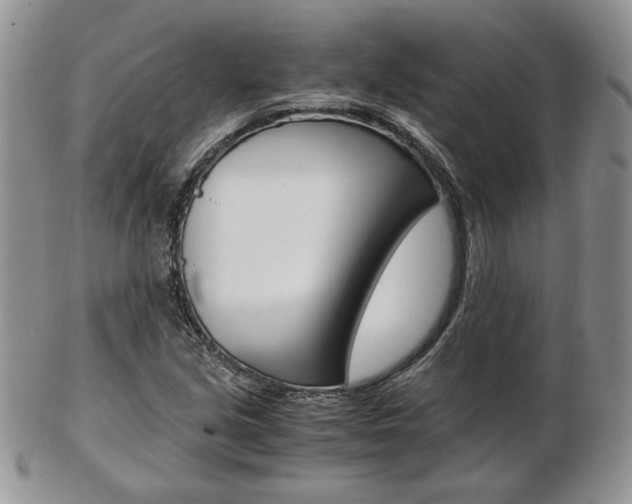X0000103131213200808221034