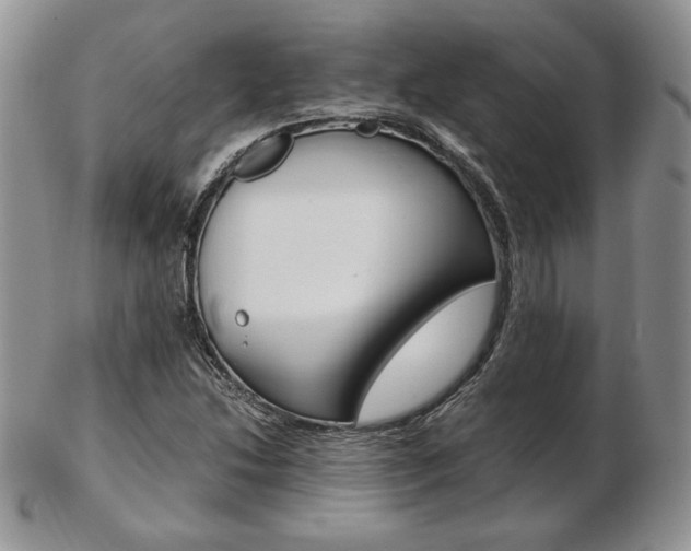 X0000103131214200808221034