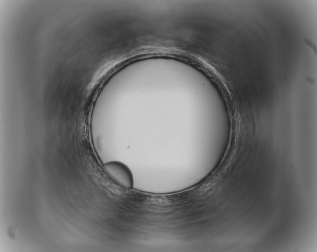 X0000103131215200808221034