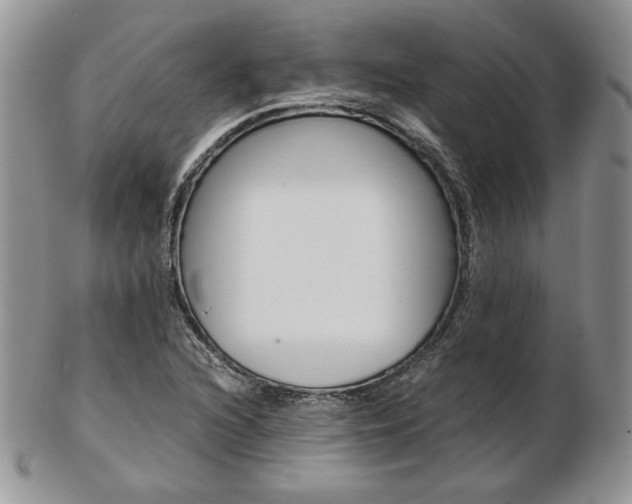X0000103131216200808221034