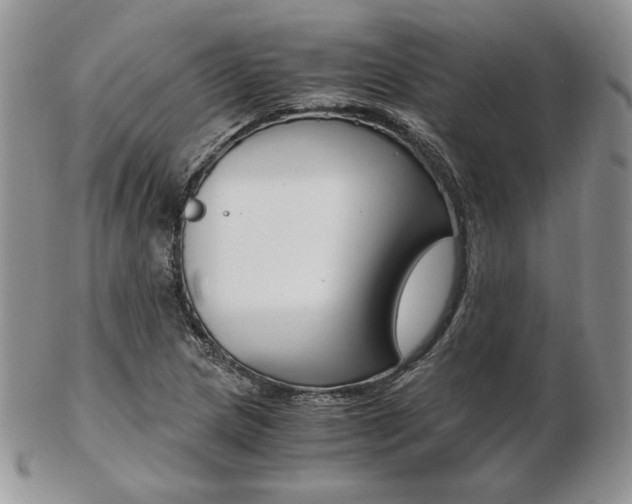 X0000103131217200808221034