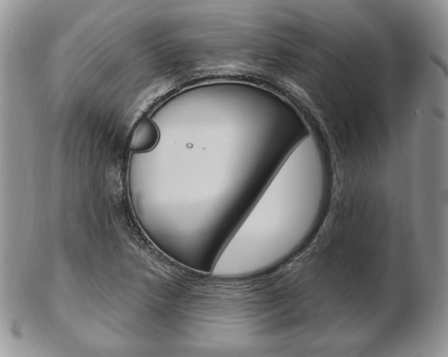 X0000103131218200808221034