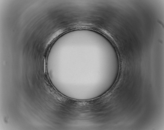 X0000103131219200808221034