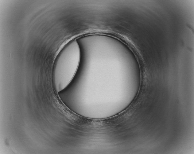 X0000103131220200808221034