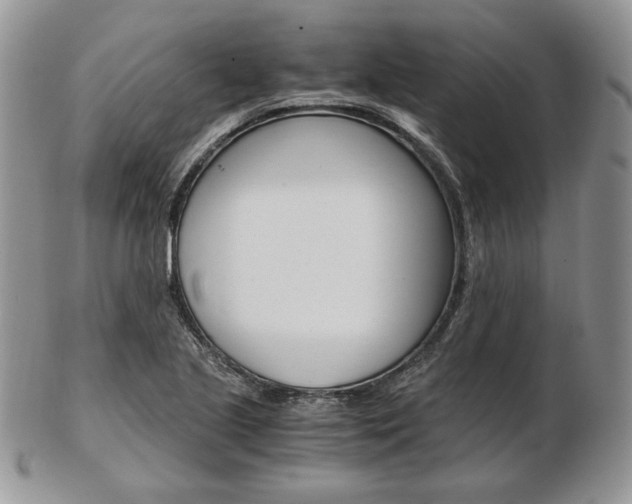 X0000103131221200808221034